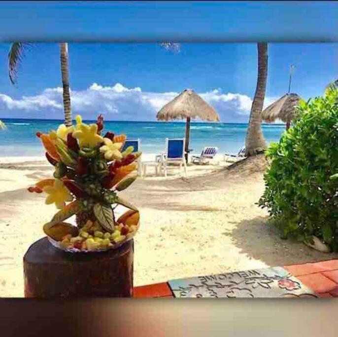 Beachfront Akumal Half Moon Bay المظهر الخارجي الصورة