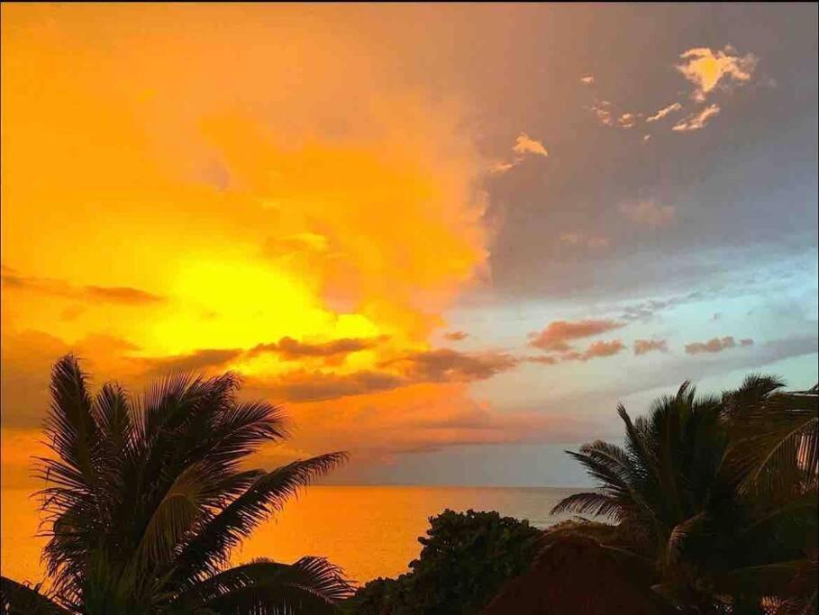 Beachfront Akumal Half Moon Bay المظهر الخارجي الصورة